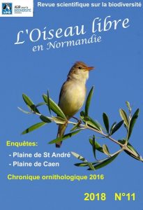 Couverture de l'Oiseau Libre numéro 11