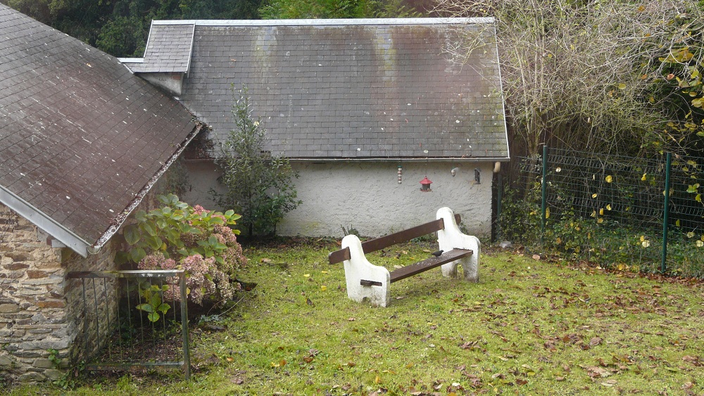 vue aérienne sur un merle noir posé sur un banc dans un jardin
