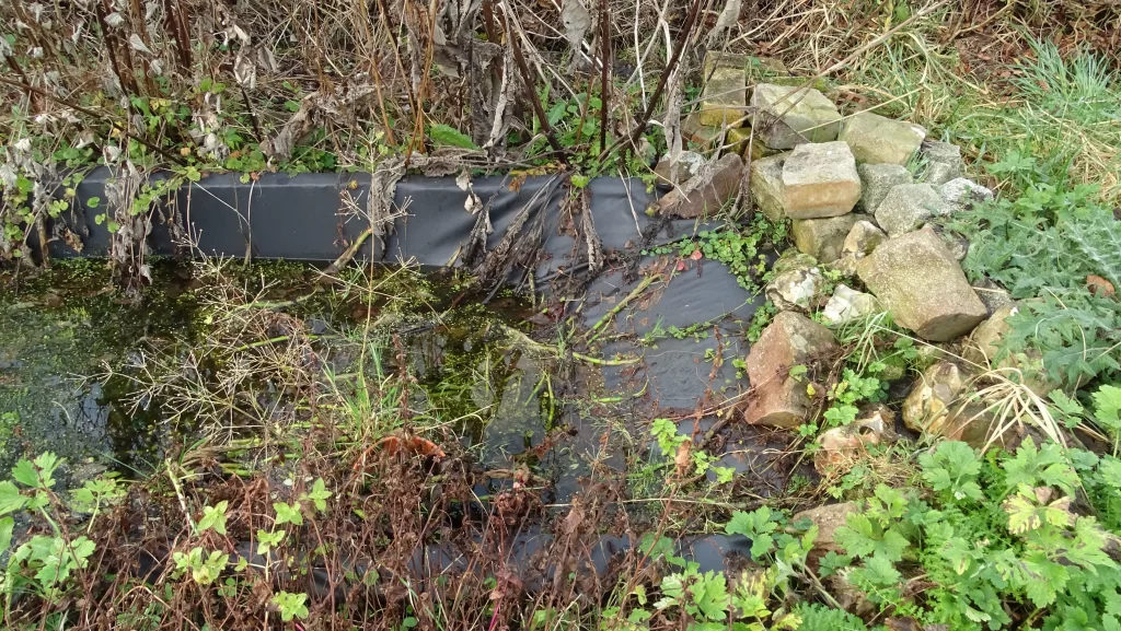 Point d'eau pour la faune avec pente douce