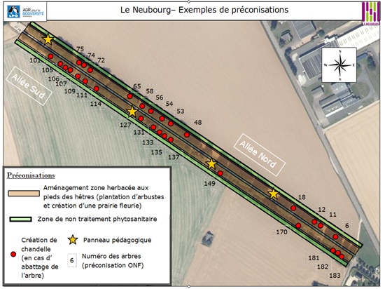 Allée du Neubourg-carte-1