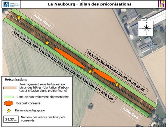 Allée du Champ de Bataille au Neubourg-carte-2