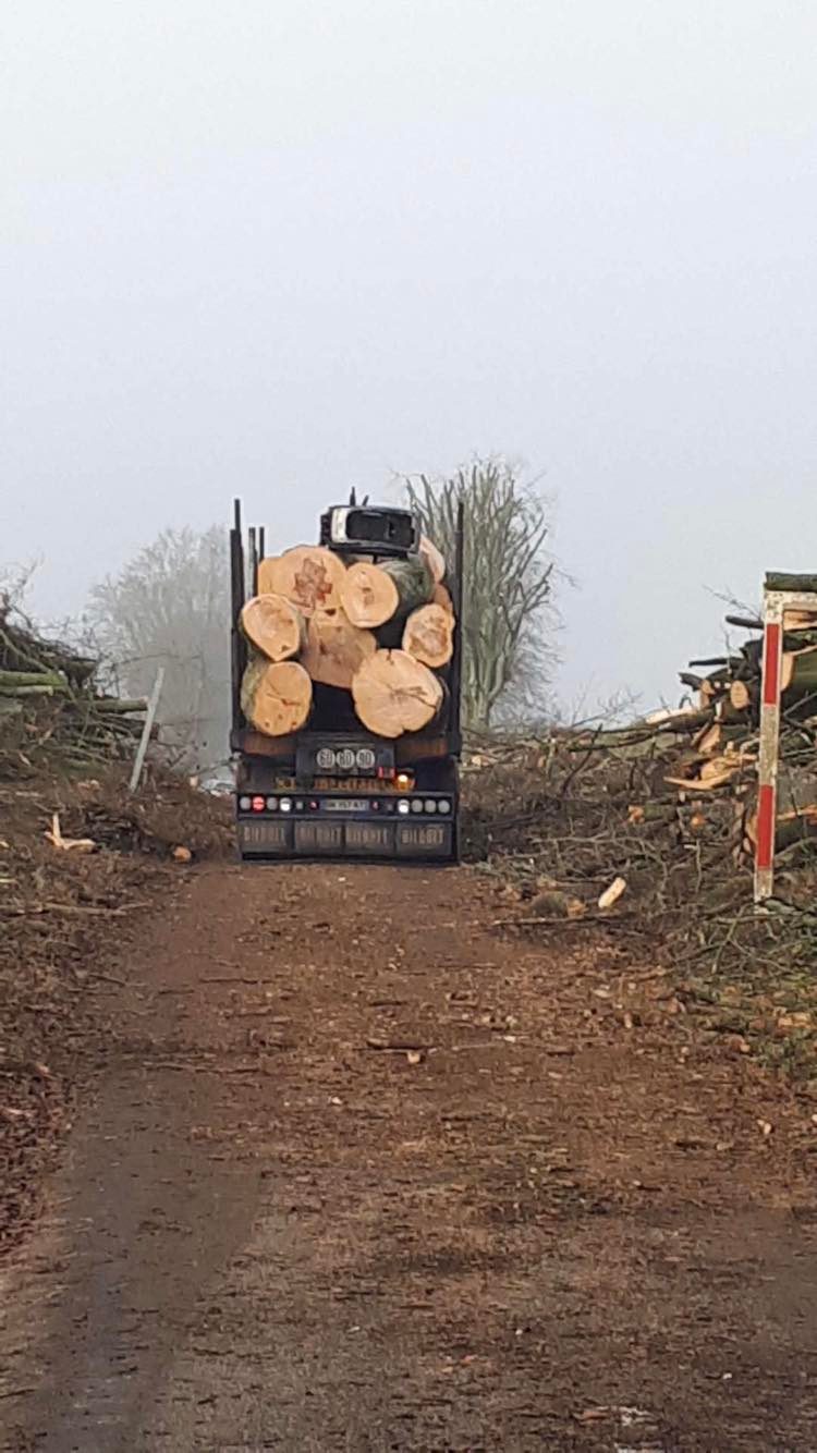 Allée du Champ de Bataille au Neubourg - départ des grumes en camion