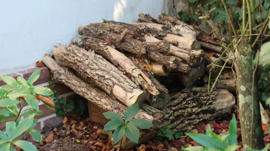 Abri à hérisson au jardin