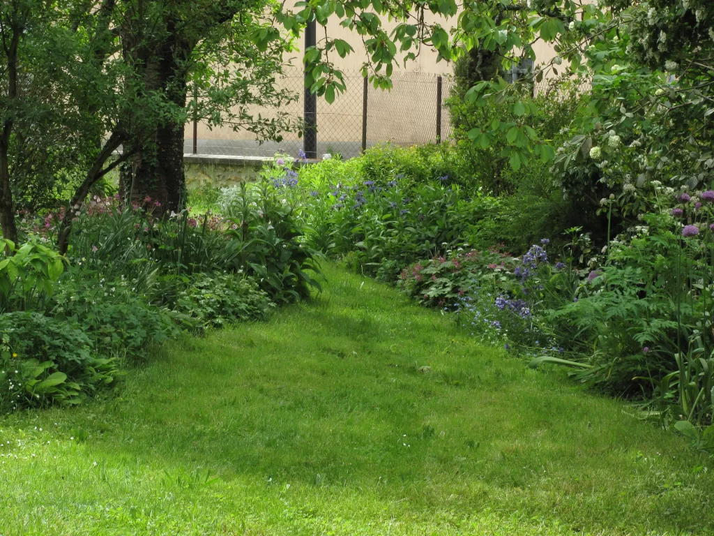 allée gazonnée dans un jardin