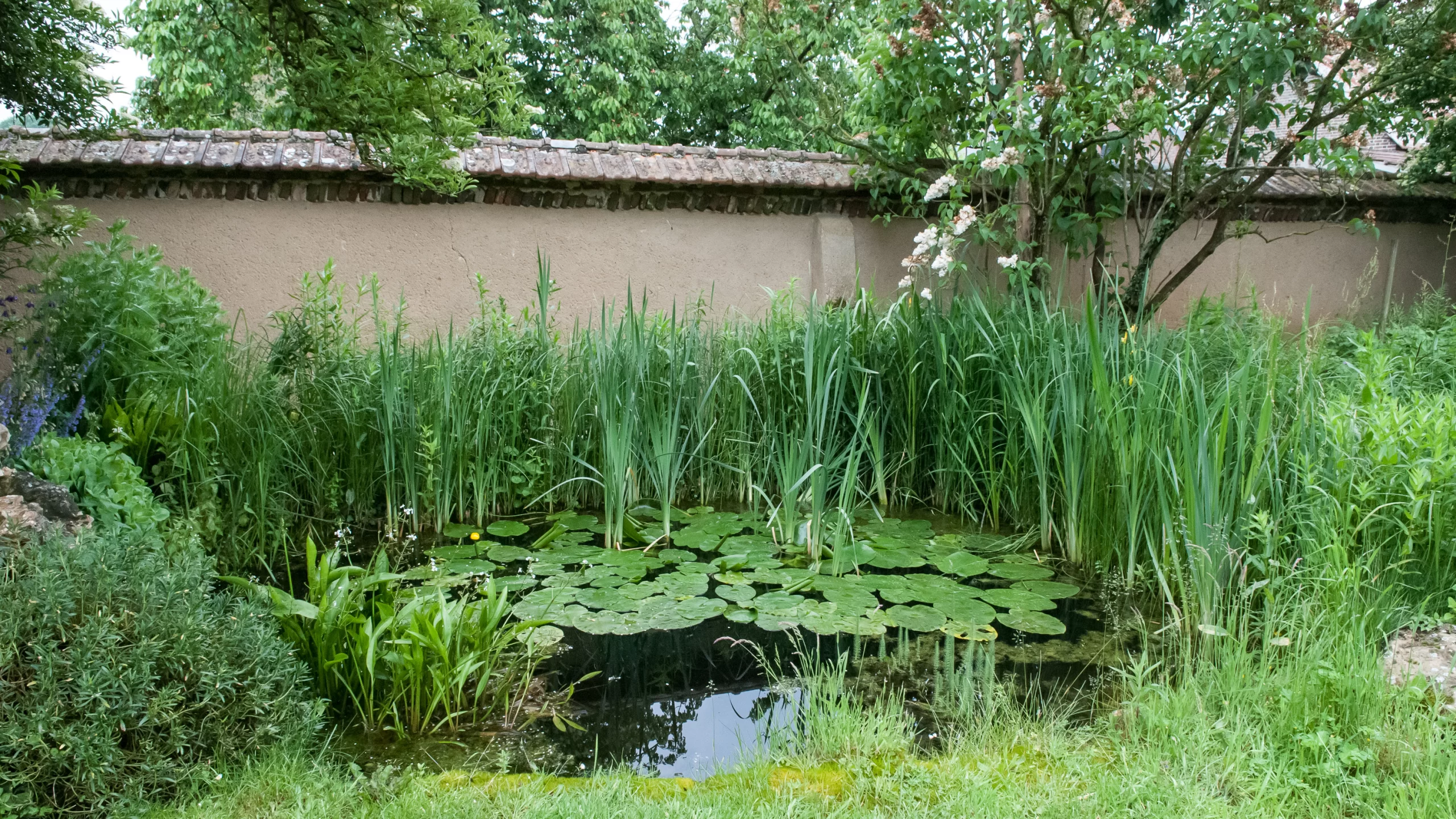 mare au jardin