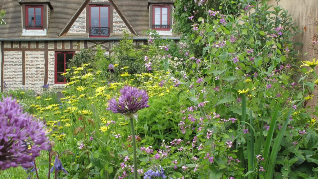 parterre fleuri dans un jardin