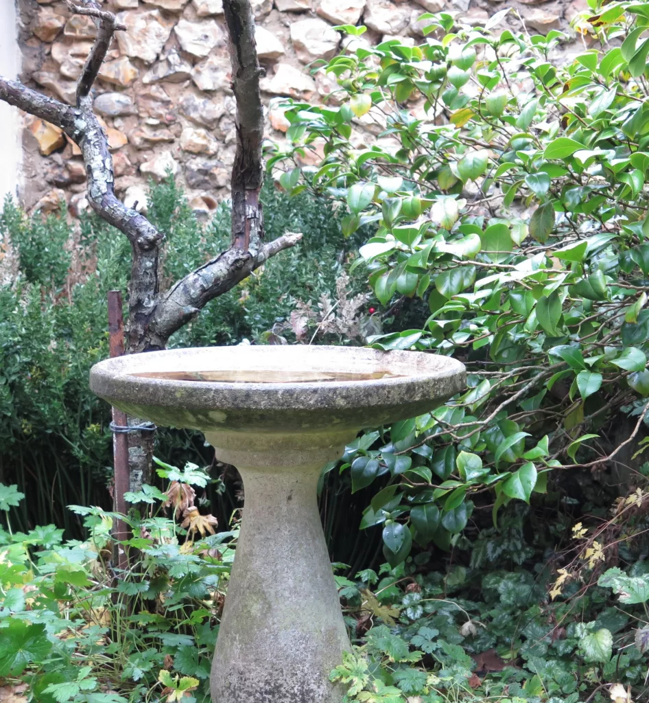 Vasque au jardin