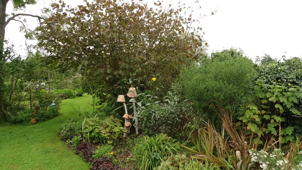 Arbustes dans un jardin refuge