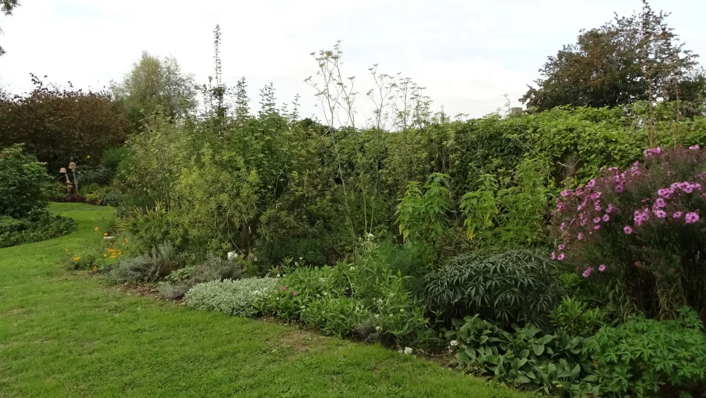 Haie variée dans un jardin refuge