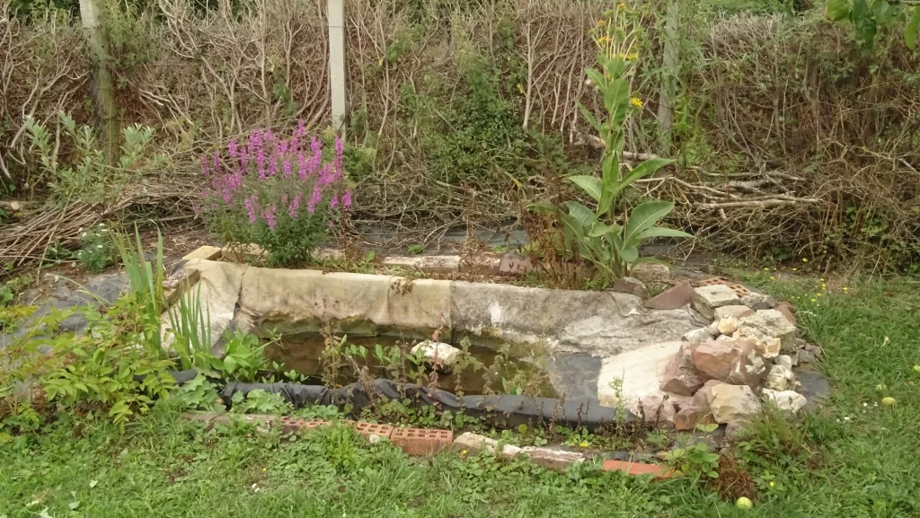 Préparation de la mare au jardin