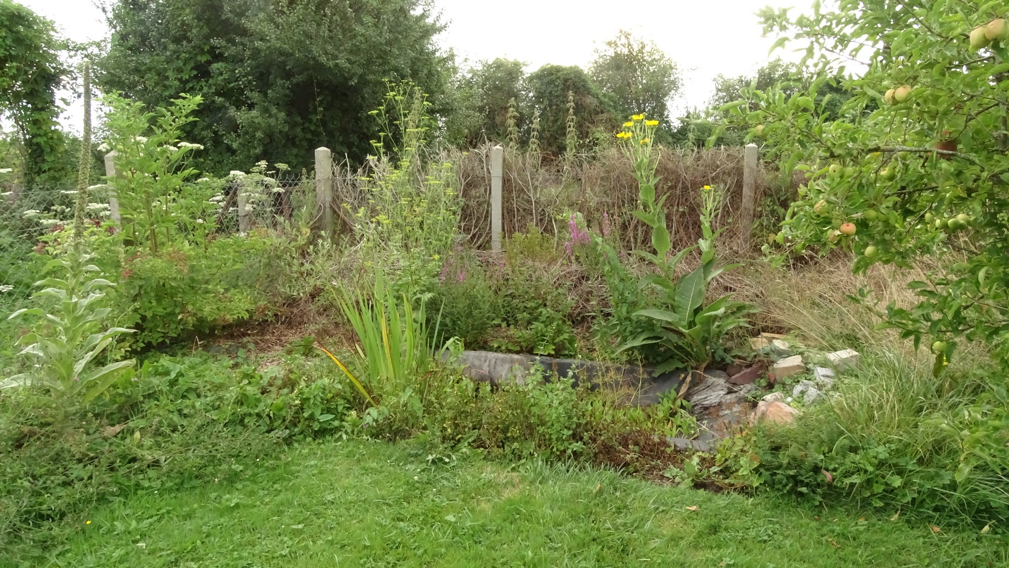 Mare au jardin