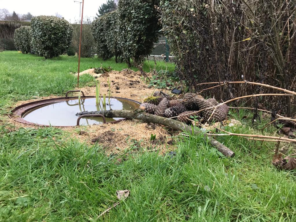 Exemple de mare au jardin