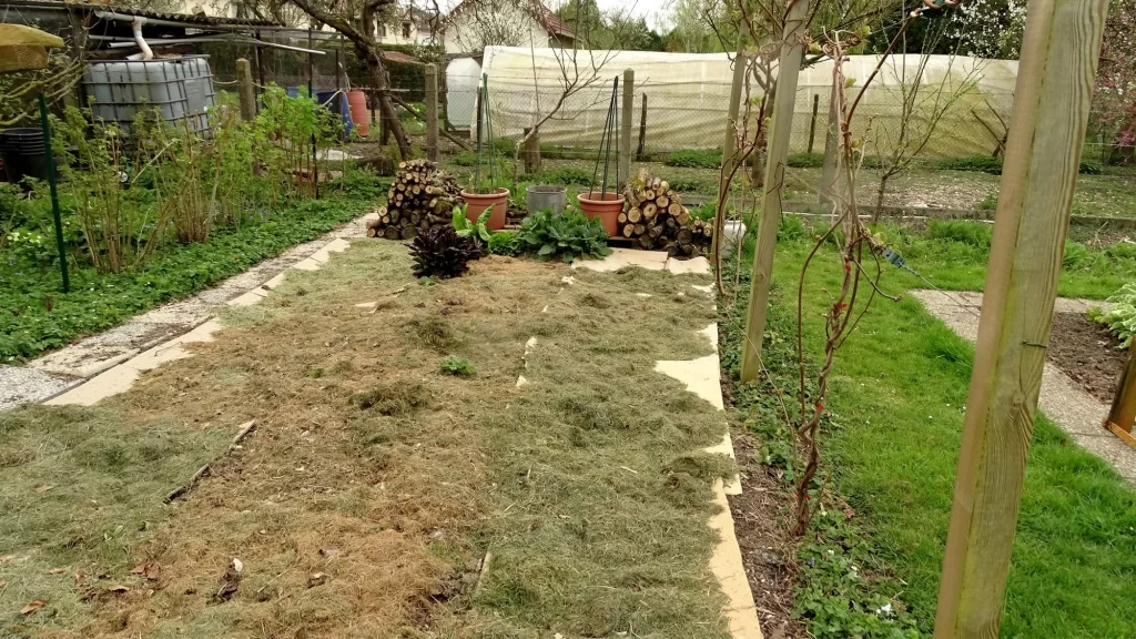 protection au jardin avec des cartons qui favorisent les vers de terre