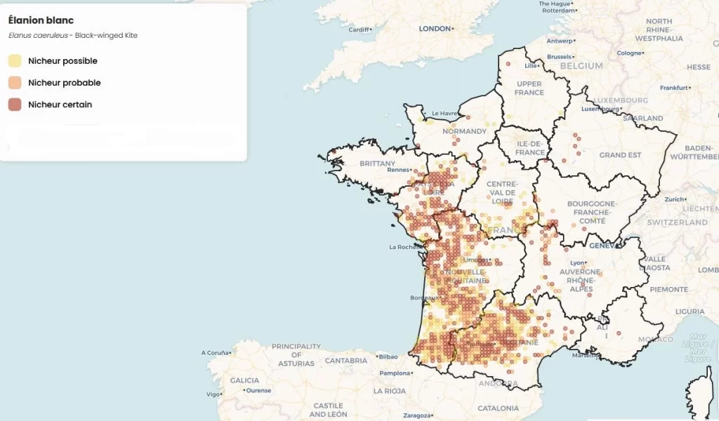 Carte de l'Elanion blanc en France