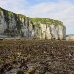Falaise depuis l'estran