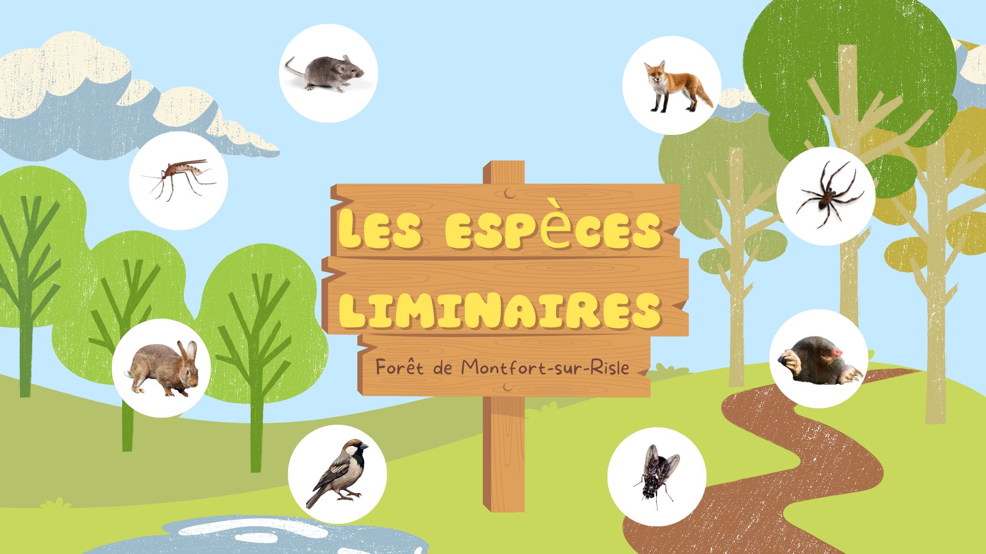 Les espèces liminaires