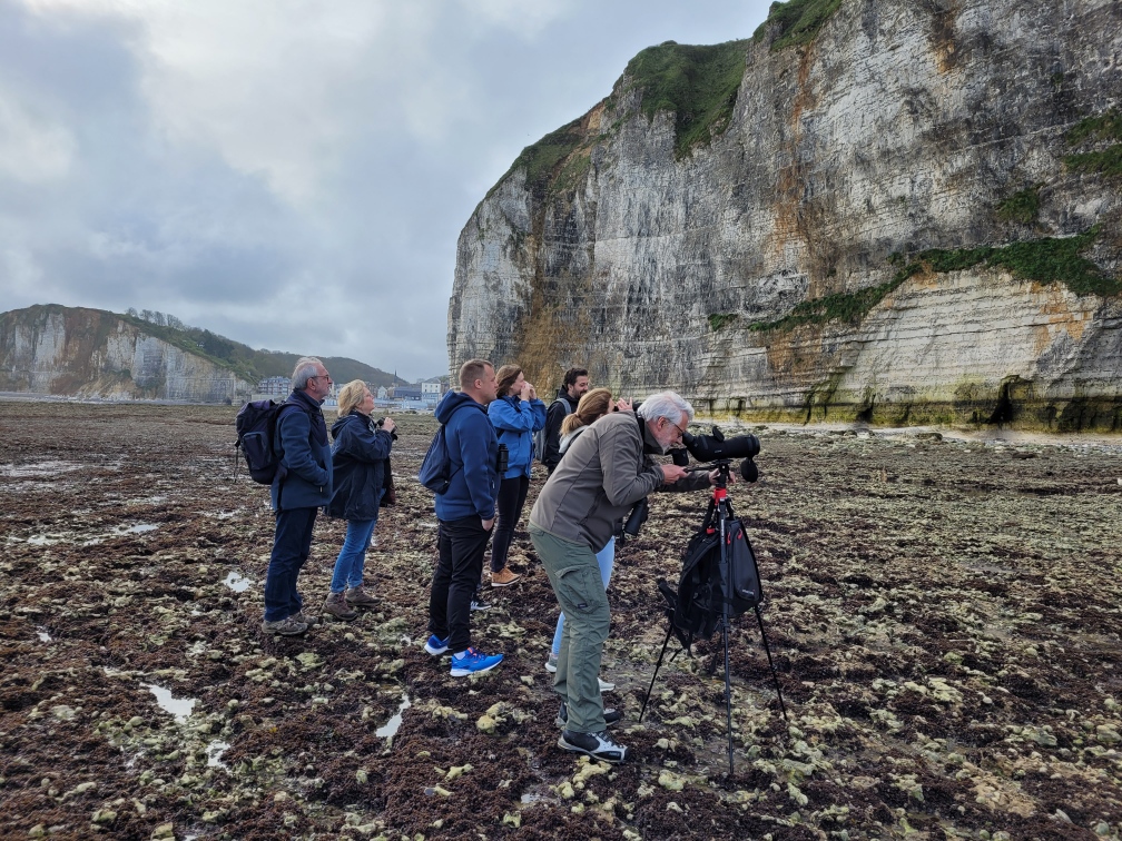 Sur l'estran, des observateurs qui regardent les oiseaux