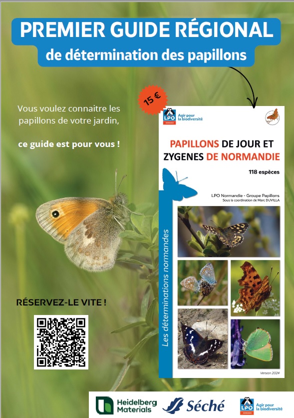 Affiche pour le guide des papillons de Normandie de la LPO