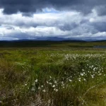 Tourbieres et Montagnes écossaises
