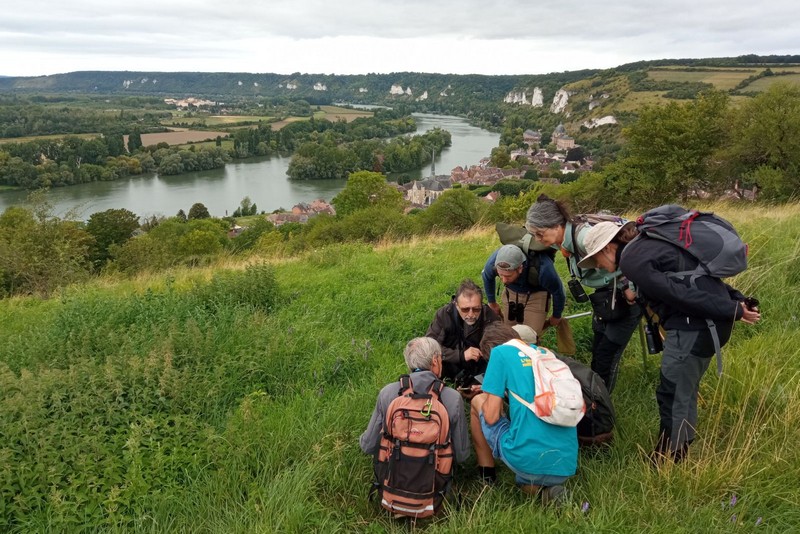 Sur les coteaux calcaires de la Seine, salariés et administrateurs de la LPO Normandie partagent leurs observations naturalistes.