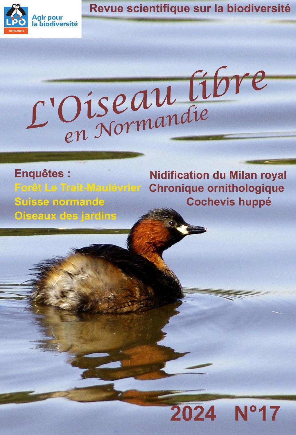 Couverture de la revue l'Oiseau Libre, n° 17 avec un grèbe castagneux
