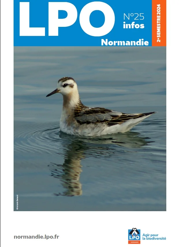 Couverture du LPO Infos de Normandie n°25 de décembre 2024