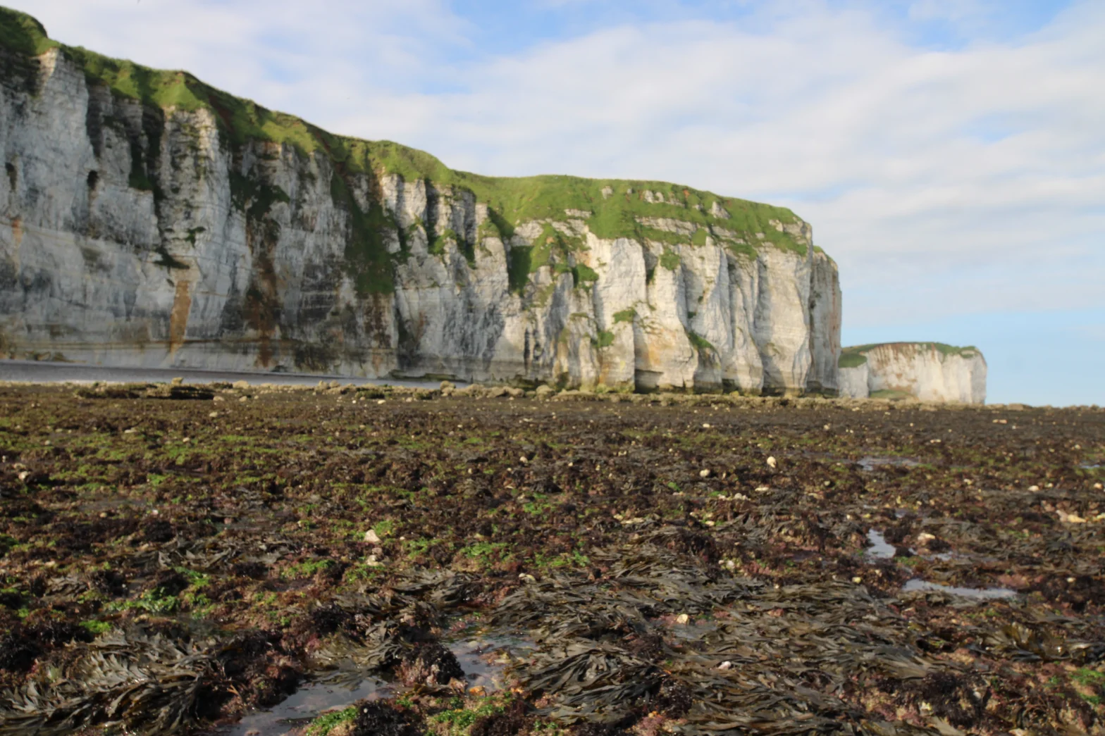 Estran et falaise à marée basse