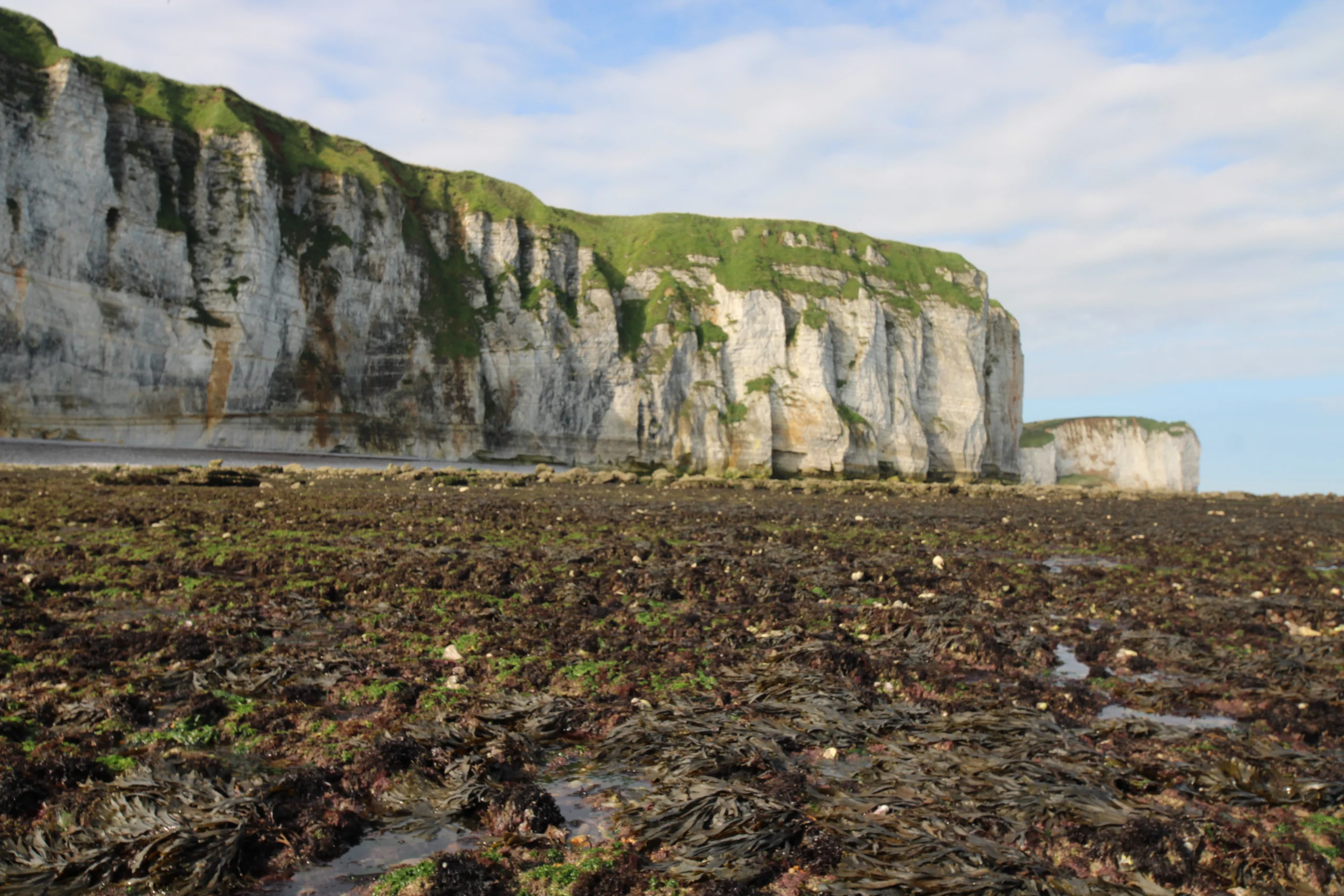 Estran et falaise à marée basse