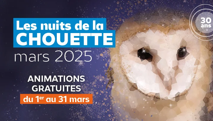 Affiche Nuit de la Chouette 2025