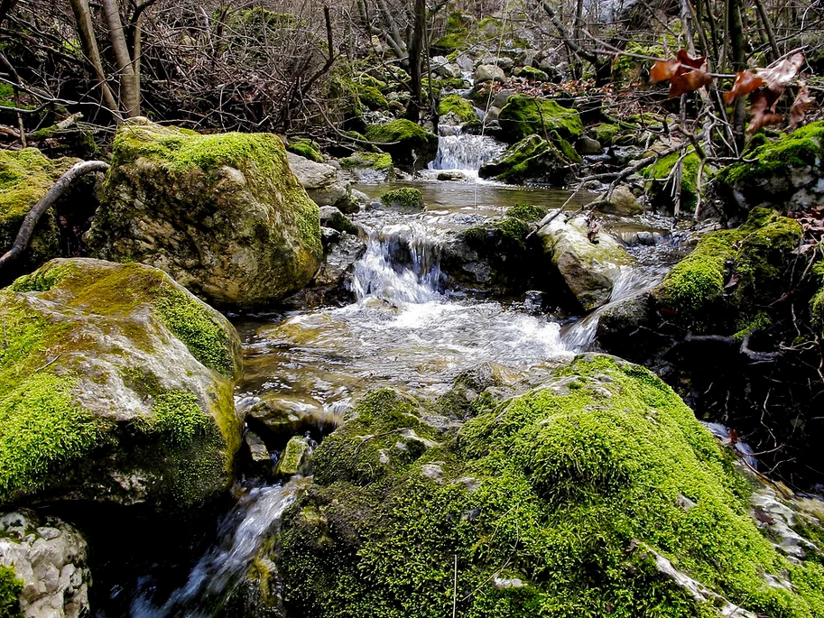 cour d'eau entre les rochers