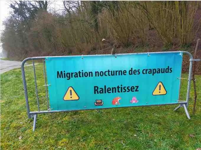 Information pour la migration nocturne des crapauds