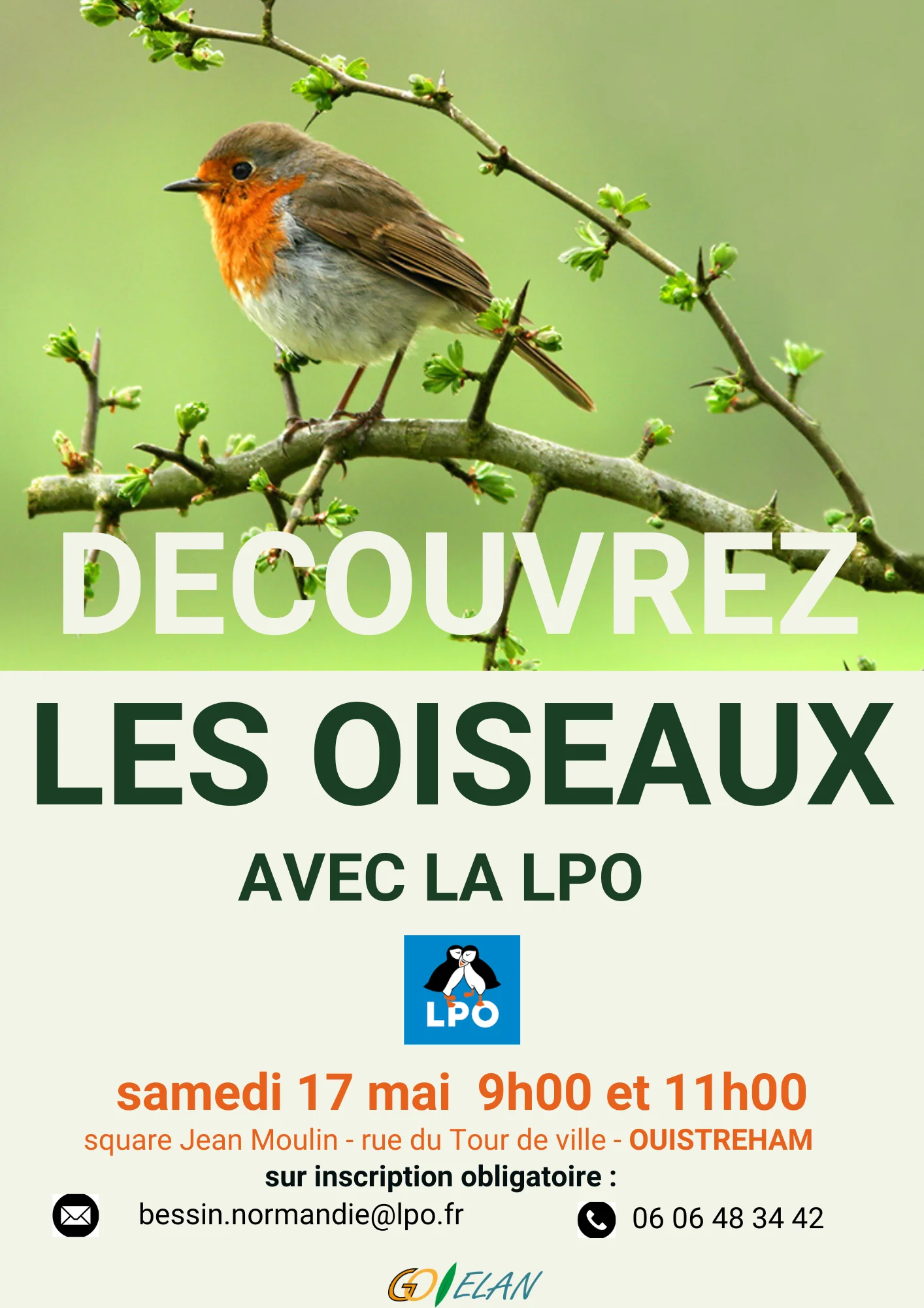 Affiche balade à la découverte des oiseaux