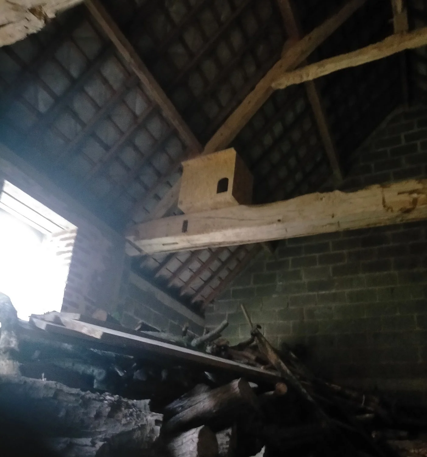 Nichoir à Effraie des clochers installé dans une grange