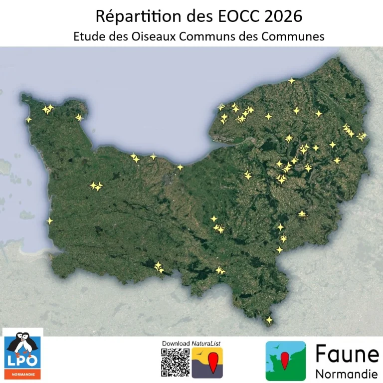 EOCC 2026-premier bilan