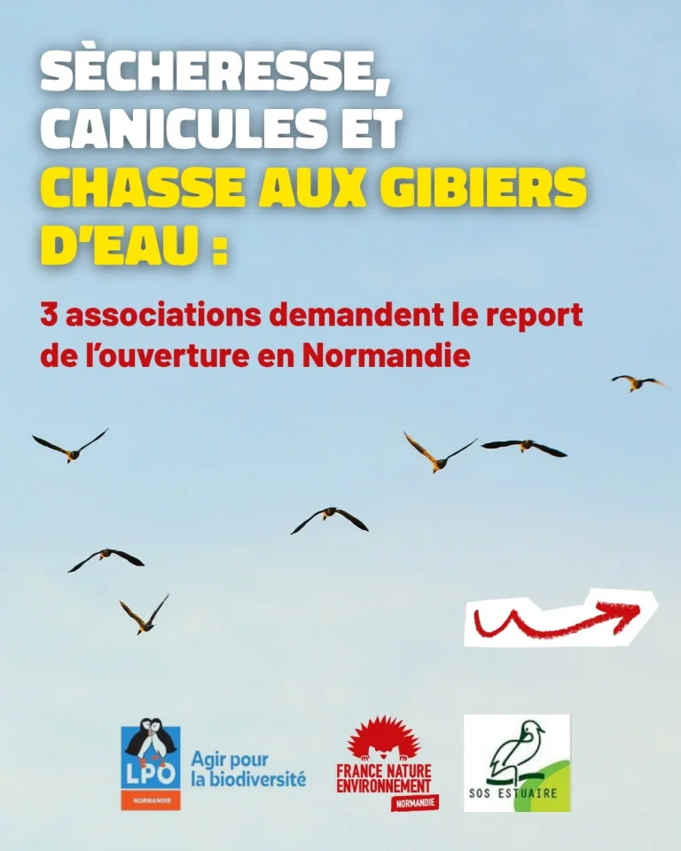 Sècheresse, canicules et chasse