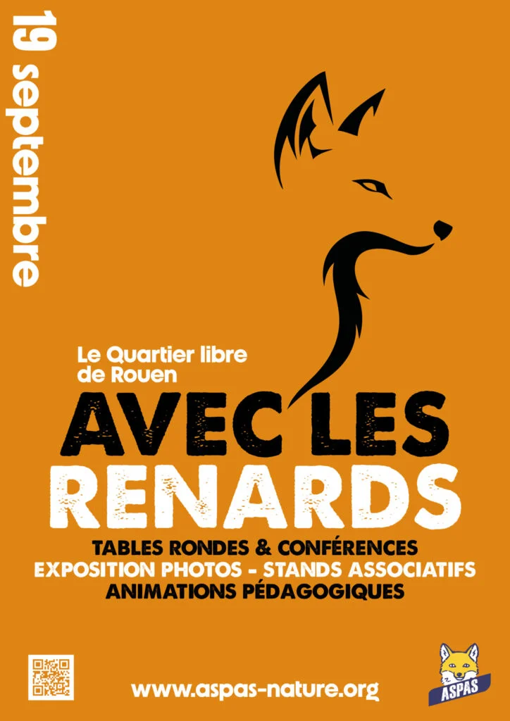 Avec les renards - 19 septembre