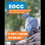 Étude des oiseaux communs des communes 2026. C'est l'heure du bilan !